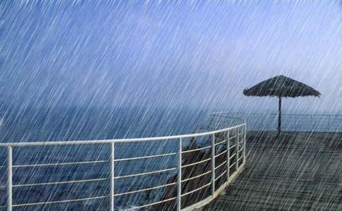 梦见雨中怎么回事