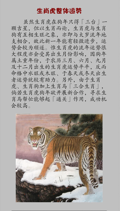 属虎人的命运解析