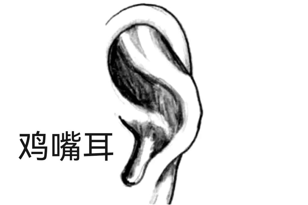 面相特征分析:鸡嘴耳人性格运势,真的比较较真,性格执拗吗?