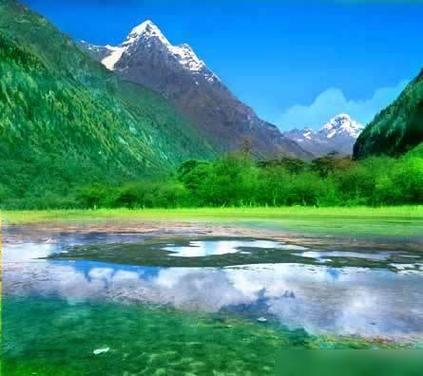 属兔会是一道怎样的亮丽风景