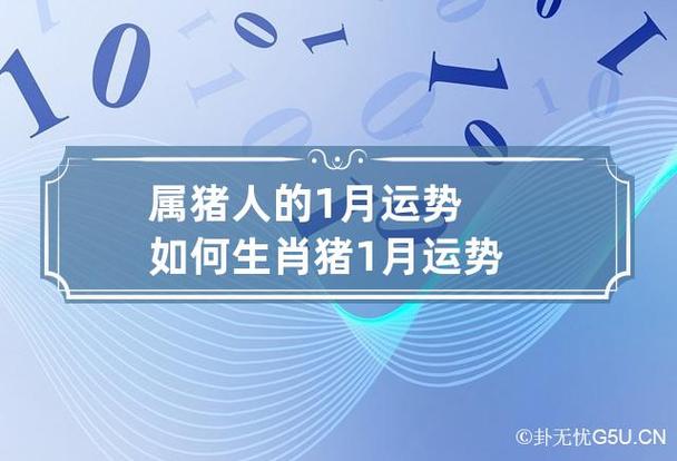 属猪的人2012年1月运程