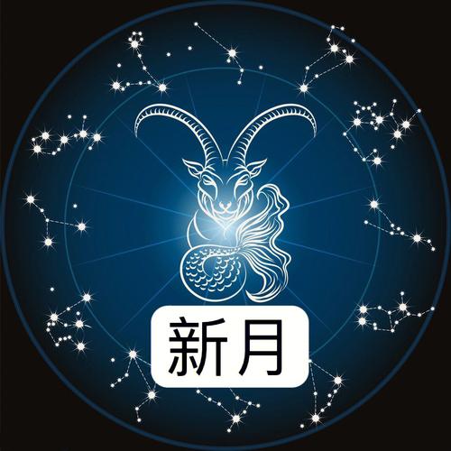 1月13日 (摩羯座) 生日密码