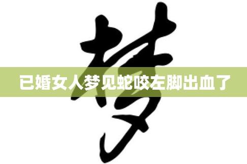 已婚女人梦见蛇咬自己的脚