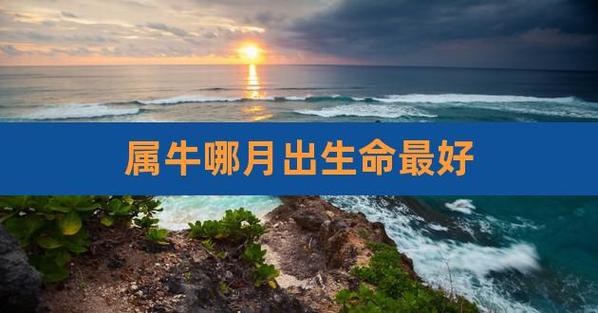 属牛几月命苦,几月出生最好