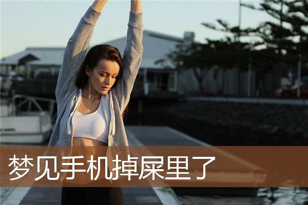 梦见手机掉茅坑里沾屎