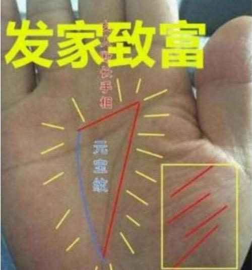 命中注定非常有钱的手相特征