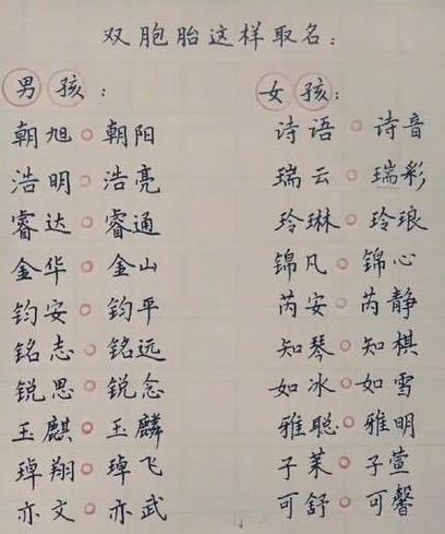 文姓猪年男宝宝名字