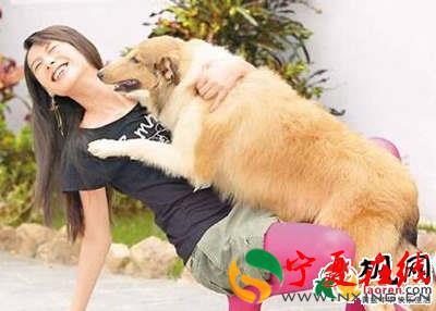 女人梦见狗咬头发有什么预兆