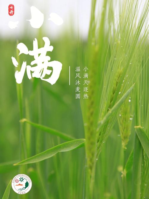 小满的气候特点是什么