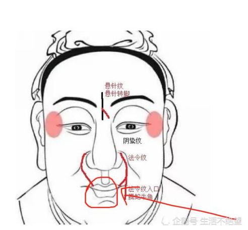 面相看哪些人是打不死的小强