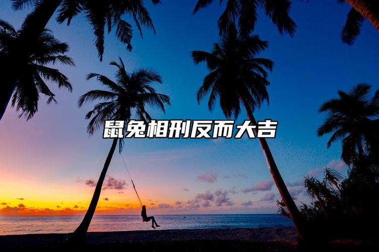 鼠兔相冲反而大吉吗