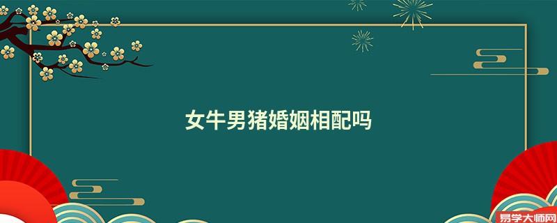 女牛男猪的两人婚姻会幸福吗?