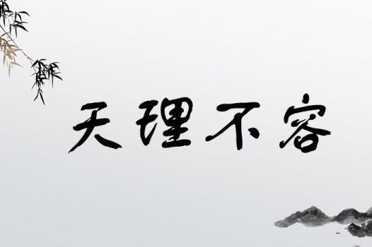 天理不容打一生肖