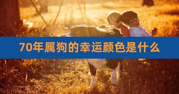 属狗人:2022年吉利色是什么