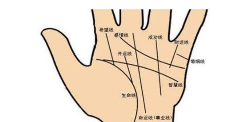 解析:手相成功线怎么看
