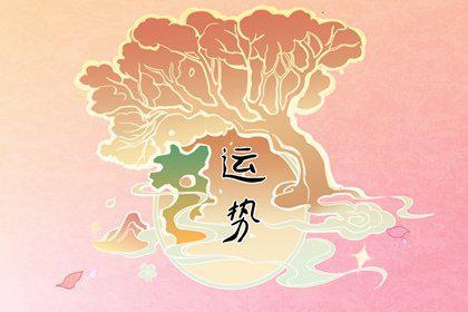 大富大贵会在2017年光顾你的生肖