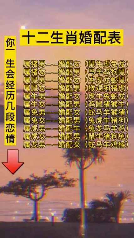 72年出生生肖适宜婚配