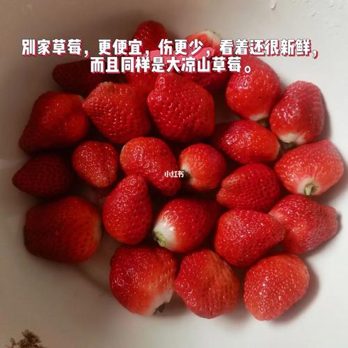 梦见好多草莓