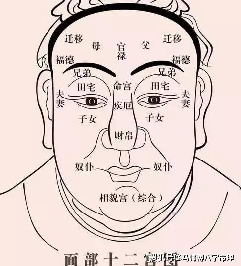 面相耳朵图解 大耳有福且晚年儿孙满堂