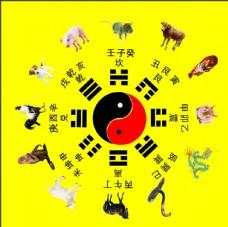 八卦十二生肖哪个月份出生最好命