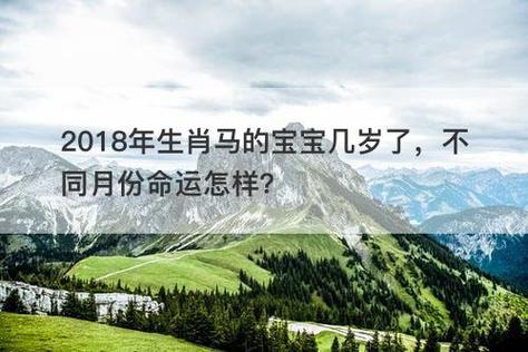 马宝宝几月诞生最好命