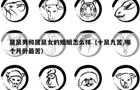 生肖鼠的婚姻情况详解