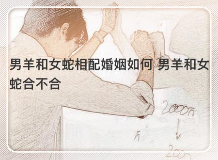 属羊的男生和属蛇的女生配吗