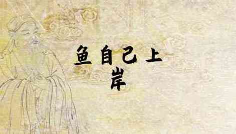 梦见鱼上岸追我
