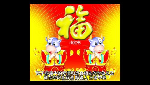 属牛双子座的性格