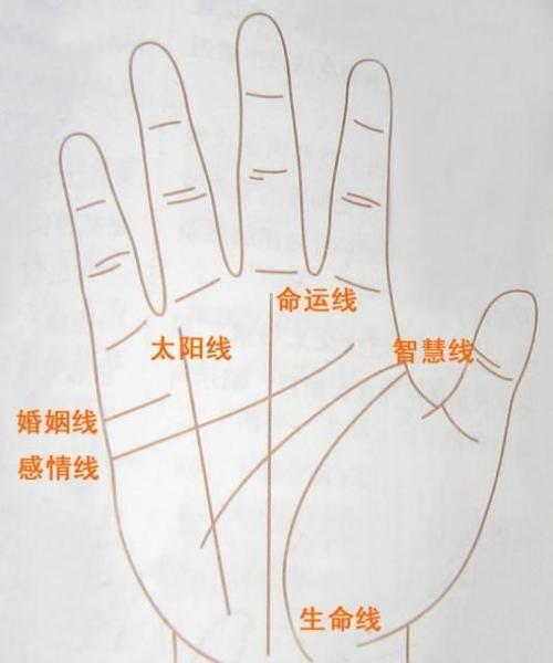 不一样的成功线对命运会产生不一样的影响