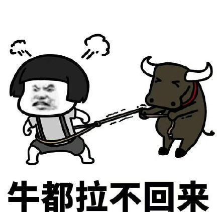 一旦爱上十头牛都拉不回来