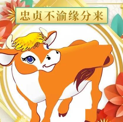 2017年,这些生肖桃花朵朵开