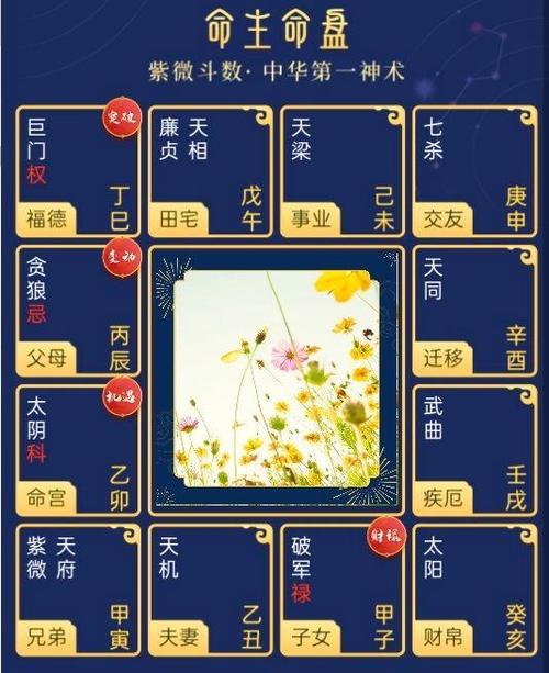 兄弟宫太阴 太阴星入兄弟宫代表什么