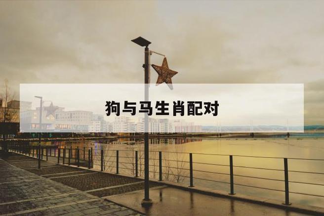 属相狗和属相马能否配对