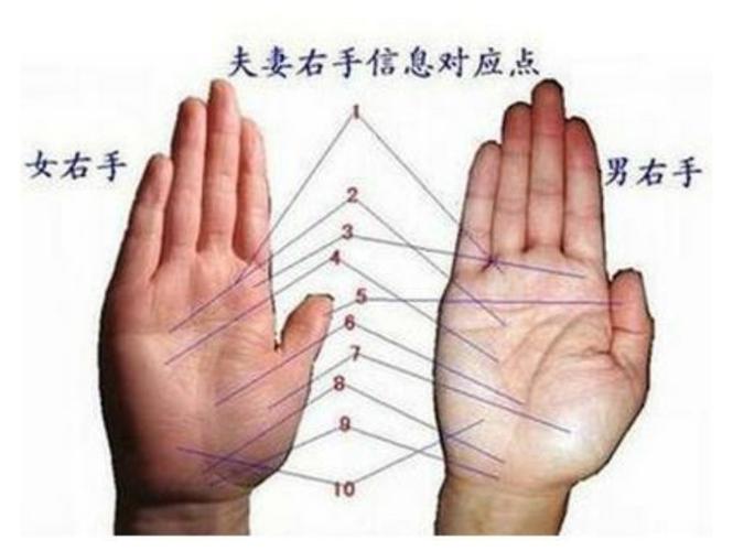 看手相是不是男左女右