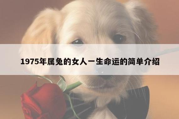 属兔女人一生的命运与婚姻