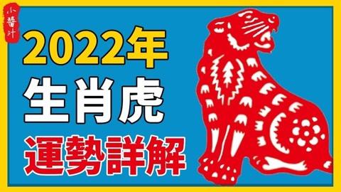 属虎人行大运的年份