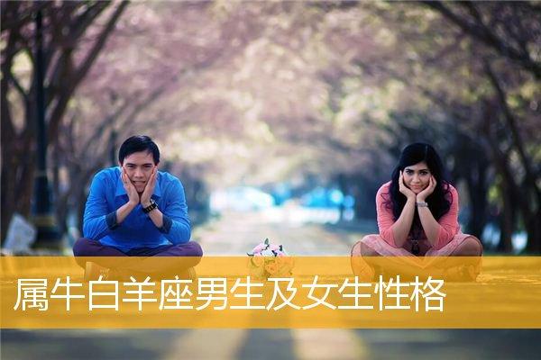 属牛白羊男对爱的女人是什么样的