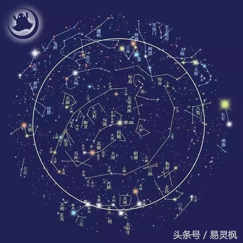 尊贵不凡 - 风水龙