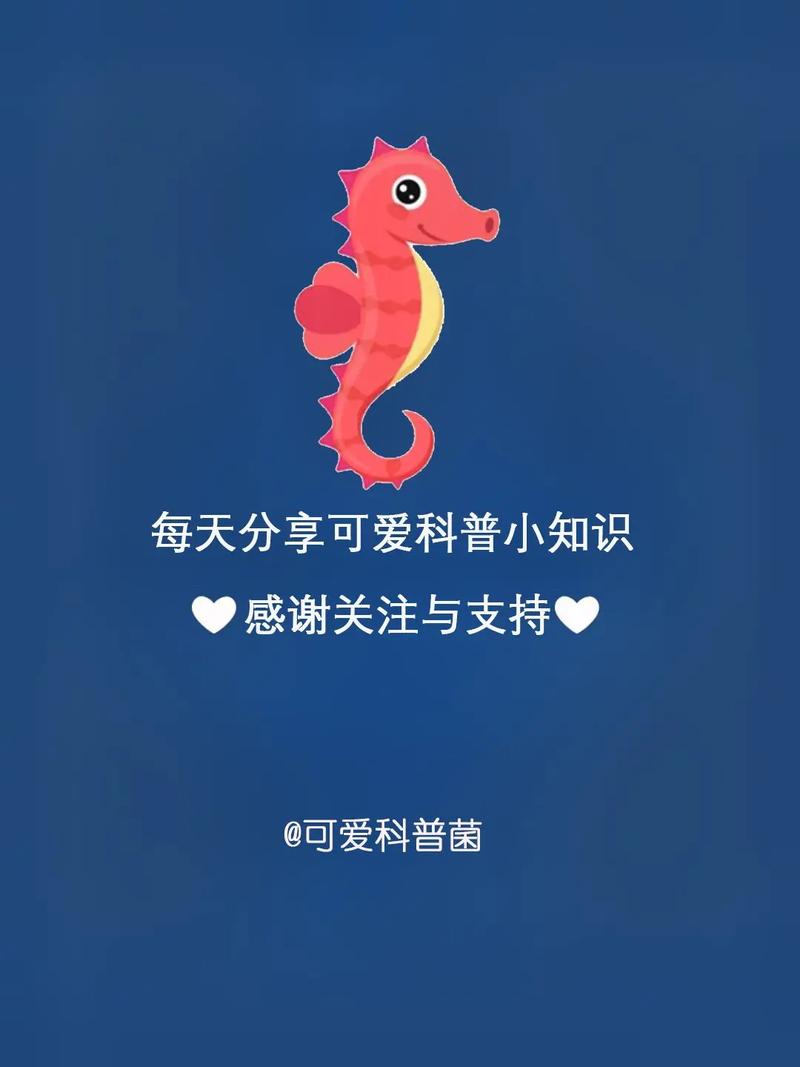 为什么会出现海马效应