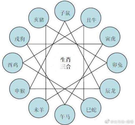 生肖马相克属相