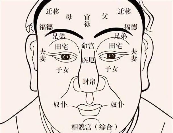 面相学的全息学原理