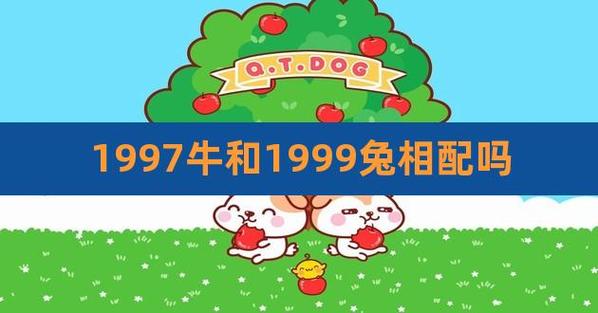 97属牛男和99属兔女配不配
