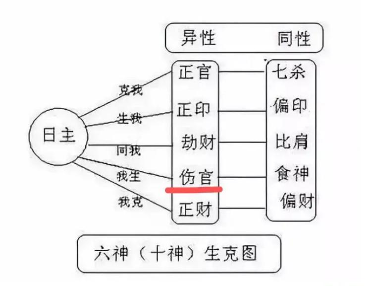 伤官代表什么意思