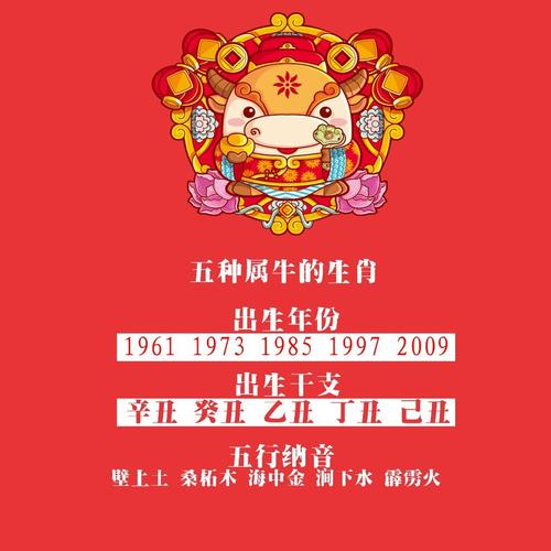 2023年5月生肖牛怎么才能改运