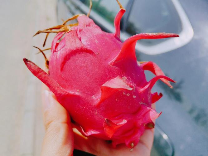 事缓忌速 而且反覆 直到岁寒 花残果熟是什么意思?