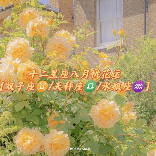 2019天秤座今年有桃花运吗