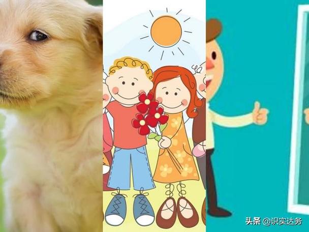 属狗的人雨天出门运势如何