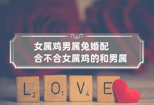 属兔和属鸡的适合做夫妻吗婚姻相配