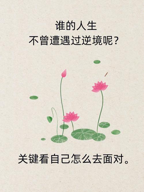 人生在遇到逆境时,该怎么办?